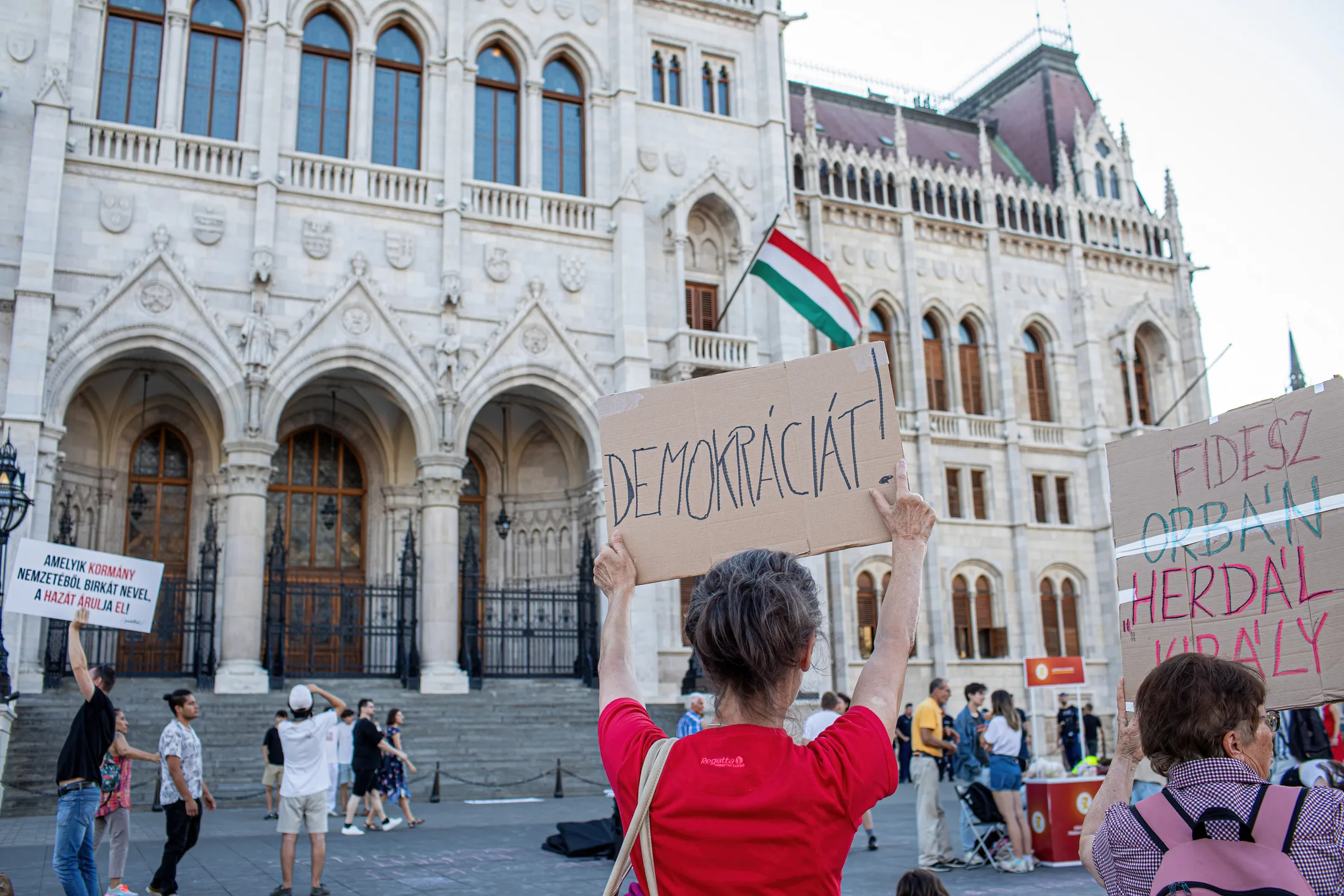 A protester in Hungary holding a sign that reads 'DEMOKRÁCIÁT!' (Democracy!), symbolizing civil society's fight for freedom.