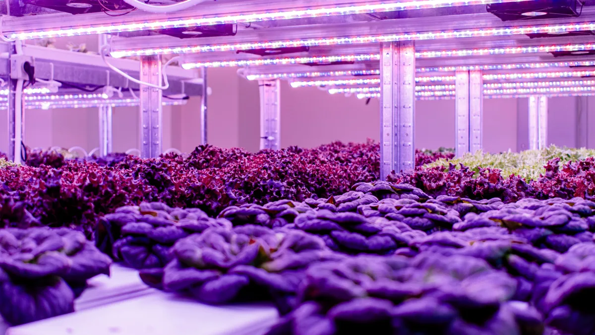 reinventing farming