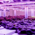reinventing farming