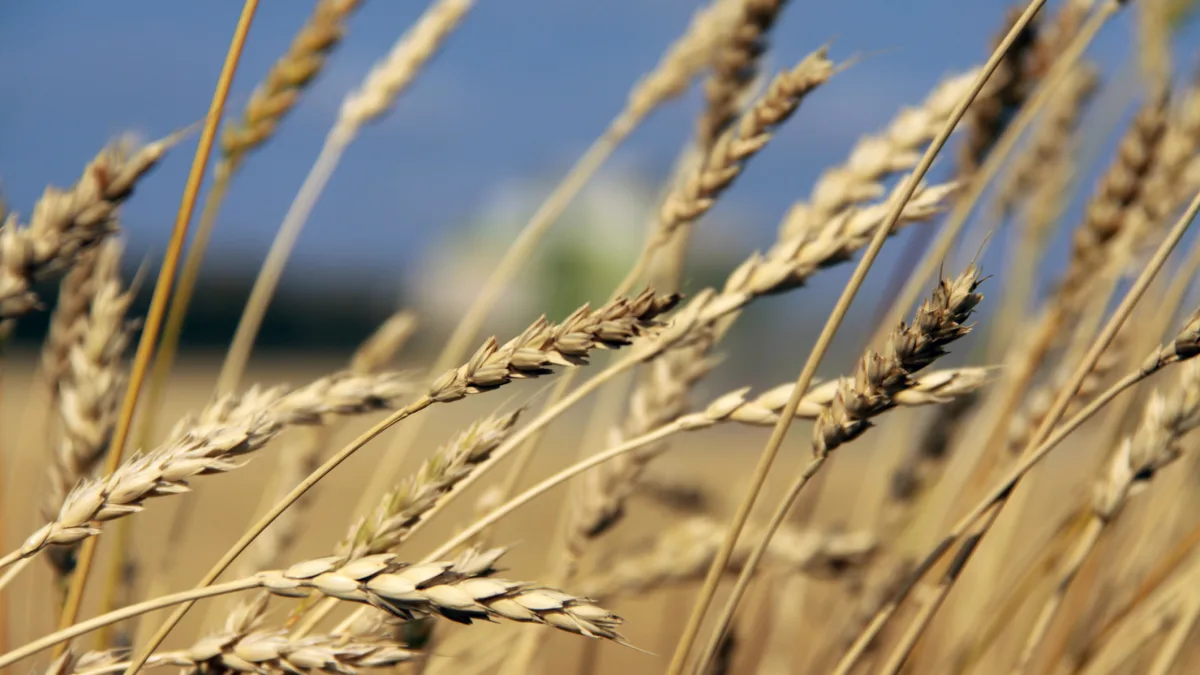 precision agriculture in central asia
