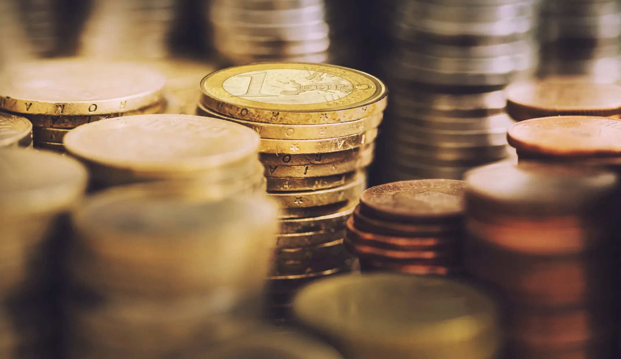 euro adoption