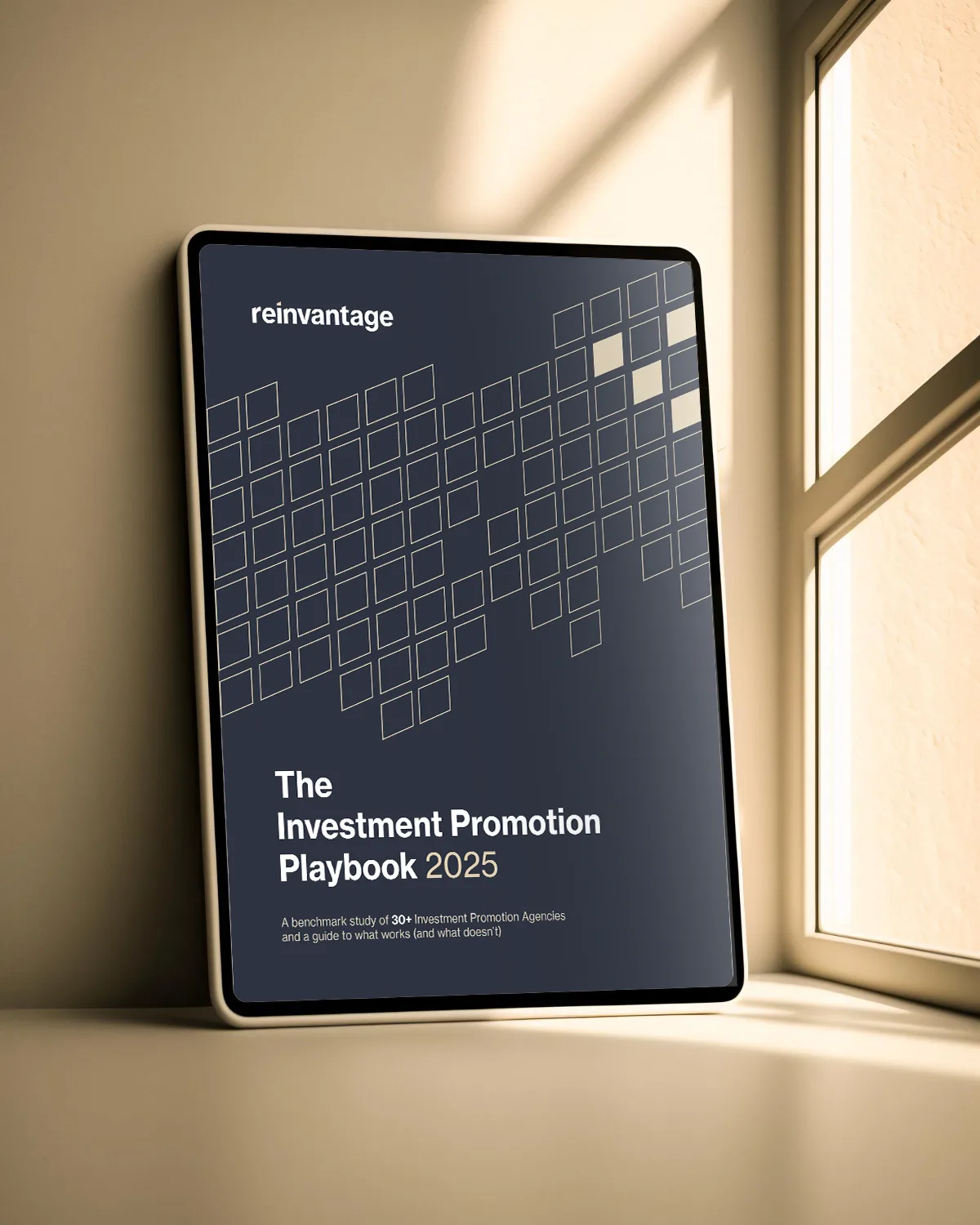 The Investment Promotion Playbook