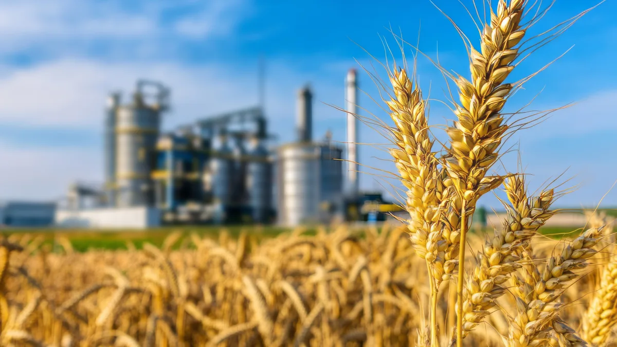 ukraine's biomethane reinvention