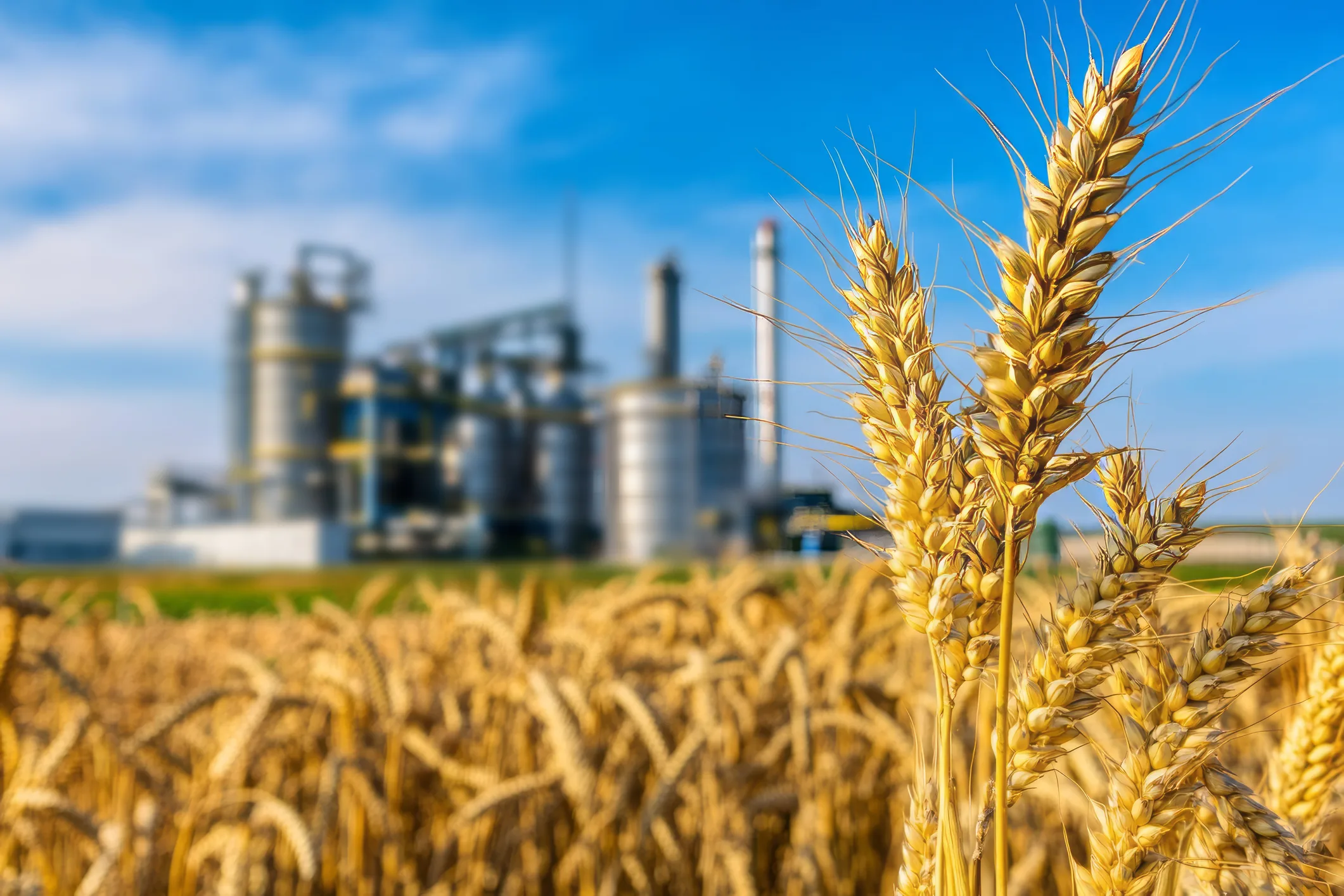 ukraine's biomethane reinvention
