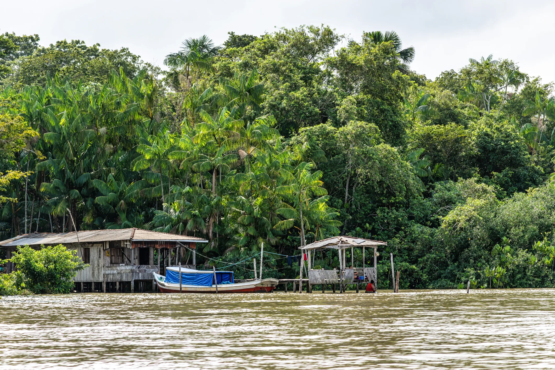 Wooden riverside house and boat in the Amazon rainforest, symbolizing Brazil’s environmental challenges at COP30.