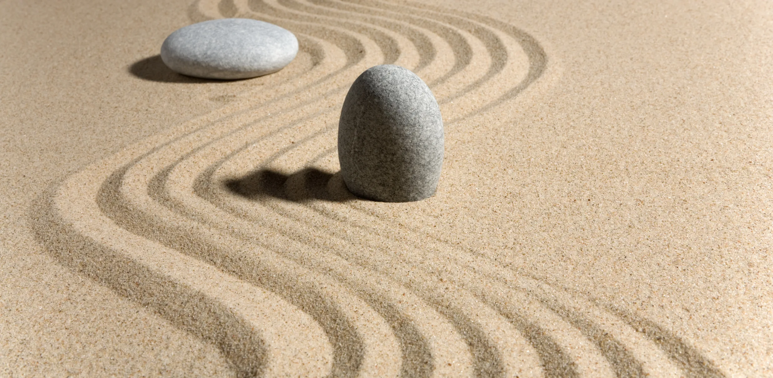 resilience or relevance